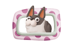 frame1b